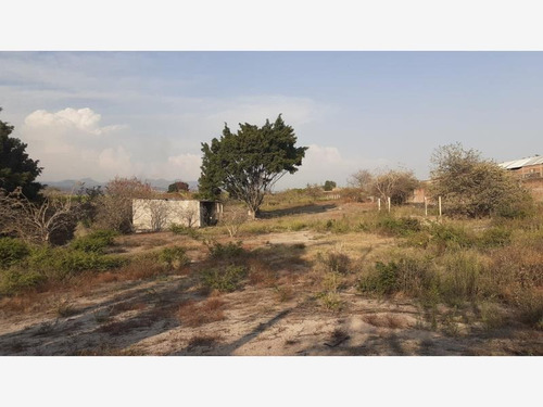 Imagen 4 de 11 de Terreno Comercial En Venta San Carlos