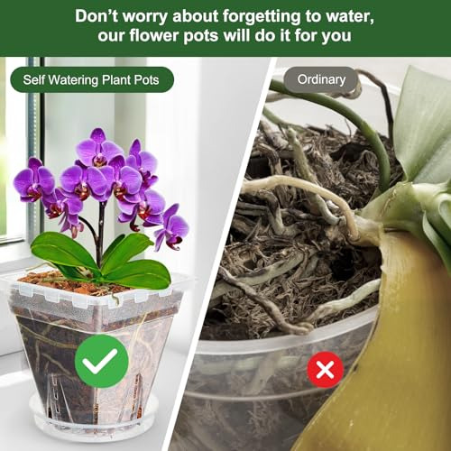 Maceta Para Orquídeas, Paquete De 7 Unidades De 6 Pulgadas H