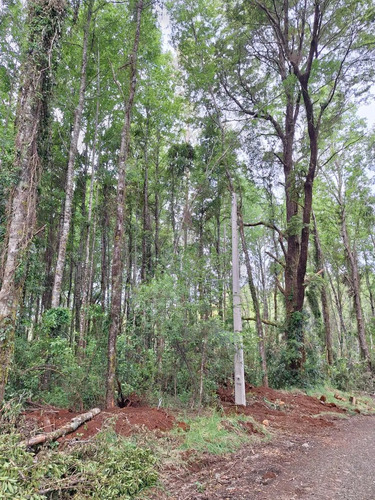 Parcelas Urbanizadas Acceso Norte Valdivia