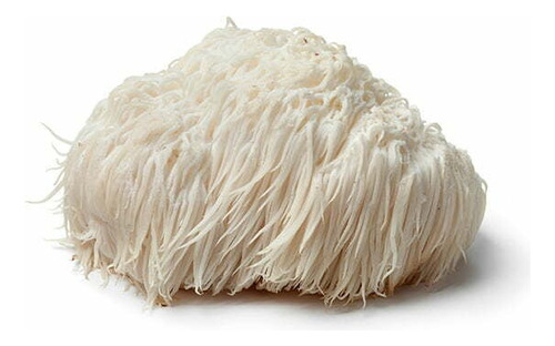 Hongo Melena De Leon Extracto (hericium Erinaceus) 120 Ml
