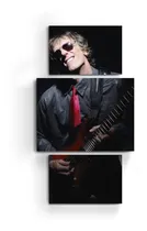 Comprar Cuadro Triptico Mural Luis Alberto Spinetta Rock Nacional +
