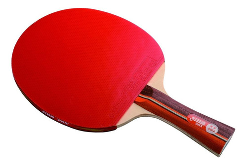 Paleta de ping pong DHS 2002 negra y roja FL (Cóncavo)