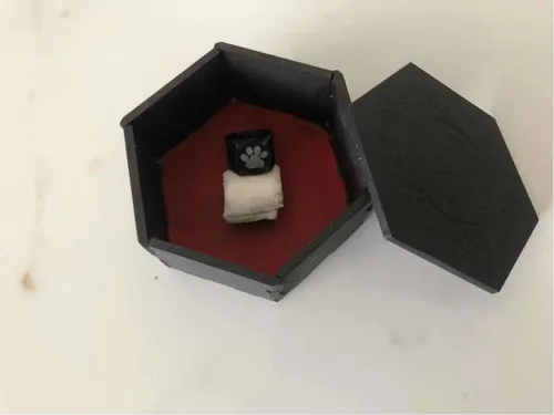 Anillo Cat Noir Fosforescente + Caja Individual De Prodigios | Meses sin  intereses