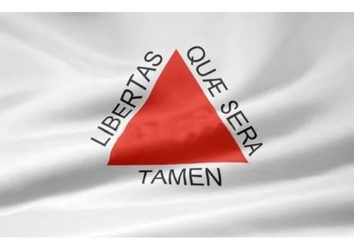 Bandeira Minas Gerais Oficial Bordada 2 Panos Alta Qualidade