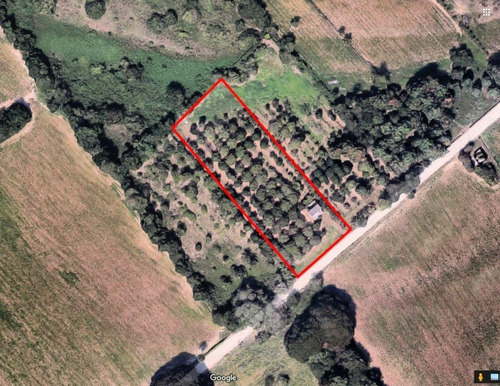 Imagen 1 de 11 de Terreno En Venta En Puerto Vallarta(999)