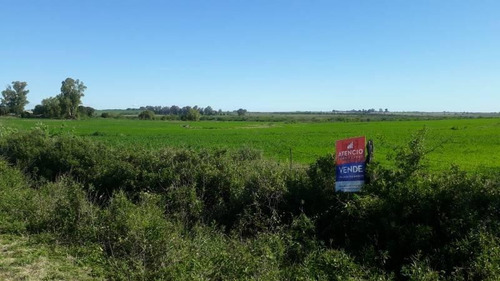 Imagen 14 de 16 de Antelo, Campo De 29 Has Sobre Asfalto, Sistematizado, Con Arroyo