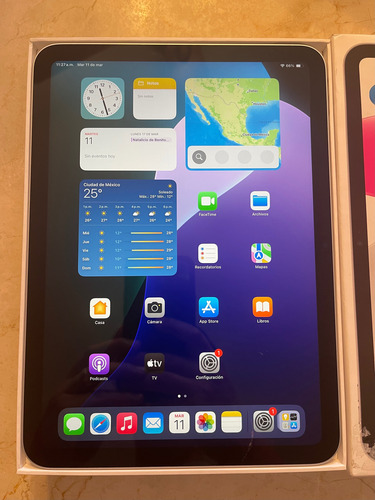 Apple Ipad 10 Generación A2696 Gris (Usado)