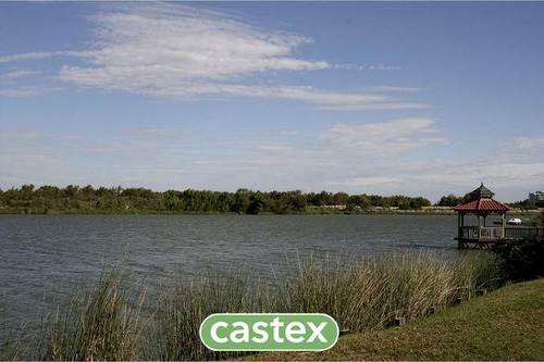 Imagen 6 de 22 de Lote Con Salida Al Lago En La Isla, Nordelta