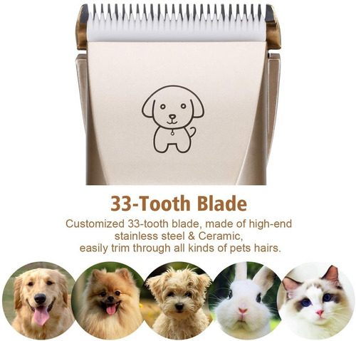 Imagen 6 de 9 de Maquina De Peluquería Canina Kit Mascotas Inalámbrica Full