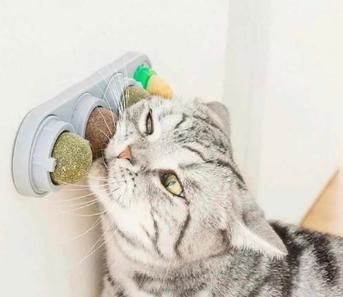 Catnip Para Gatos Mascotas Bola Hierba Gatera Gatos
