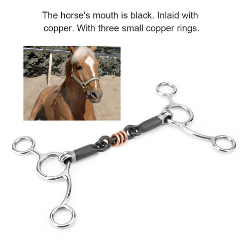 Mordaza De Mejilla Completa Horse Chew Broca De Acero Inoxid