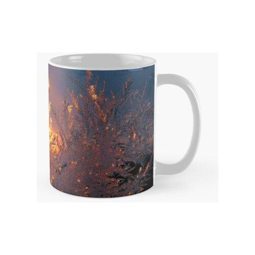 Taza Fantasía Congelada Calidad Premium