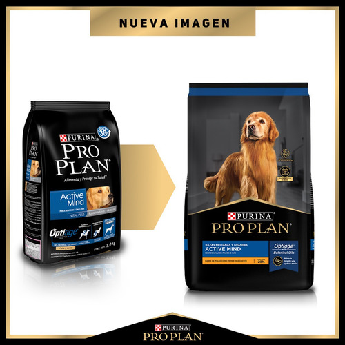 Alimento Pro Plan OptiAge Active Mind 7+ para perro senior de raza mediana y grande sabor pollo y arroz en bolsa de 13kg