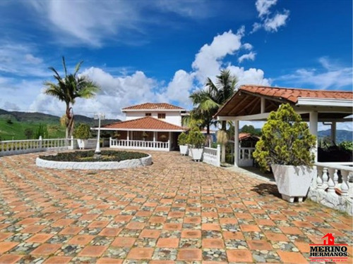 Imagen 9 de 23 de Finca En Venta En Barbosa - Vereda La Fonda