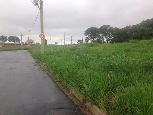 Imagem 5 de 6 de Terreno À Venda, Jardim Pau Brasil - Americana/sp - 4686