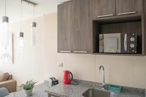 Arriendo Depto Amoblado 1 Habitación - Morandé (3485)