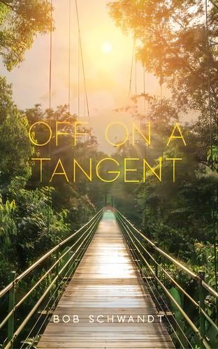Off On A Tangent : A Survey Of Sound Doctrine Gone Wild, De Bob Schwandt. Editorial Palmetto Publishing, Tapa Blanda En Inglés