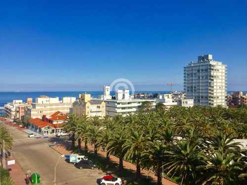 Apartamento En Alquiler - Ref: 3904