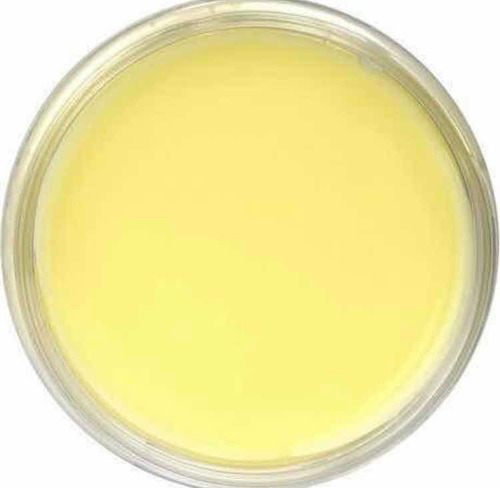 Crema Antiestrías Tummy Butter Palmer's Original 125 Grs