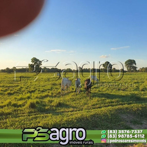 Imagem 7 de 15 de Fazenda À Venda, 150000000 M² Por R$ 300.000.000 - Centro - Mato Grosso Do Sul - Fa0249