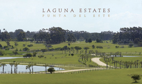 Terreno En Venta En Laguna Estate 