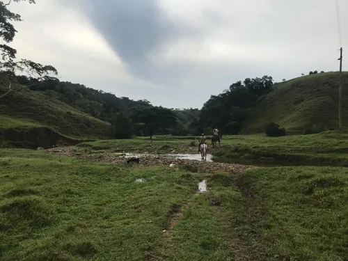 Se Vende Finca Ganadera En Doradal
