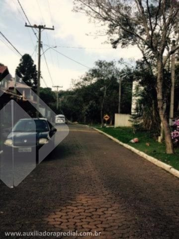 Imagem 3 de 8 de Terreno - Cantegril - Ref: 168331 - V-168331