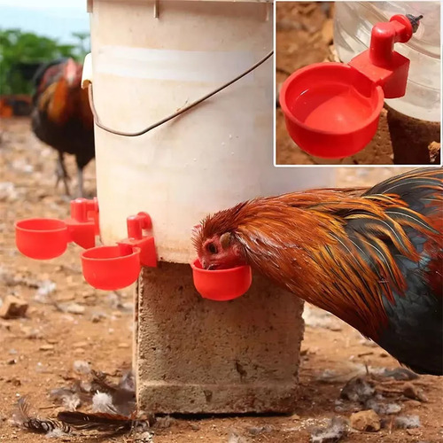 Kit De Riego Automático De 10 Unidades Para Pollos Y Patos