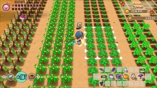 Historia de temporadas: Friends Of Mineral Town Switch Midia Fisica