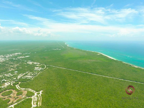 Imagen 9 de 12 de Terreno En Venta Aldea Zama Tulum