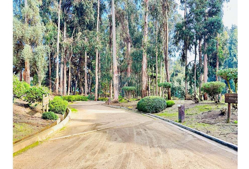 Jardin Privado Con Vista Privilegiada Al Mar