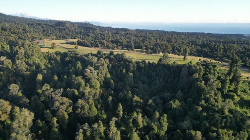 Terreno Agrícola En Venta 4,25 H En Puerto Octay