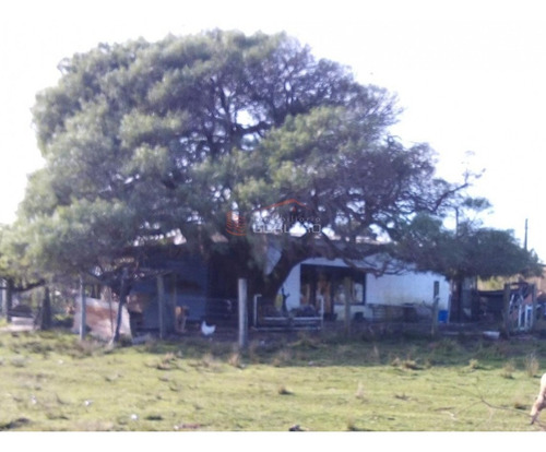 Campo A La Venta En Rocha, Castillos, Ganadero Turístico 67 Hás- Ref: 27063