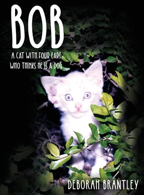 Libro Bob: A Cat With Four Ears Who Thinks He Is A Dog - ...