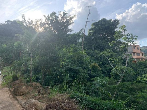 Imagen 3 de 11 de En Venta Terreno Con Excelente Ubicacion - Hacienda Caicaguana - Mls#22-21471