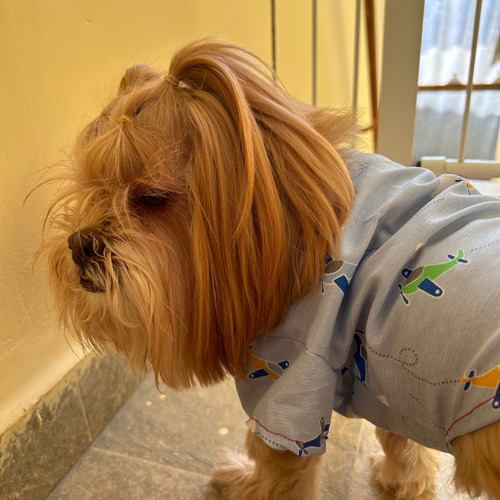 Roupa Pet, Camisa Cachorro E Gato - Roupinha Pet Macho