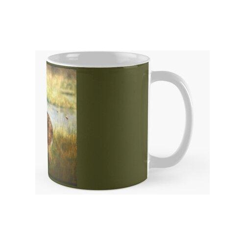 Taza Corzo En El Prado Calidad Premium