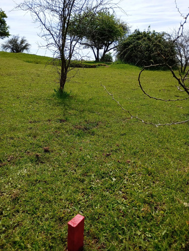 Parcela 8.000 M2 El Canelo , Comuna De Retiro - Region Maule
