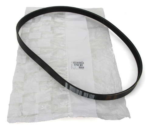Correia Poly V Citroen C4 2007 2008 2009 5750wy