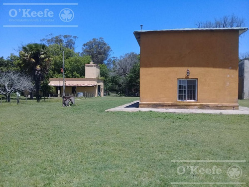 Imagen 17 de 25 de Campo En Venta En Lezama - 530 Has. Ideal Turismo Rural Con Laguna. Pesca - Retasado