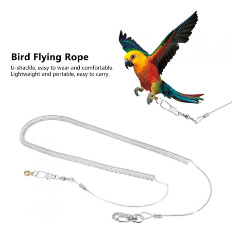 Mascota Flexible Generic 6 M Loro Pájaro Correa Arnes