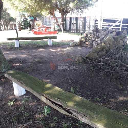 Imagen 7 de 29 de Maldonado Campo Con 150 Has Ganaderas En Aigua, 70 Kms De Punta, Serrano, Pintoresco, Con Instalaciones