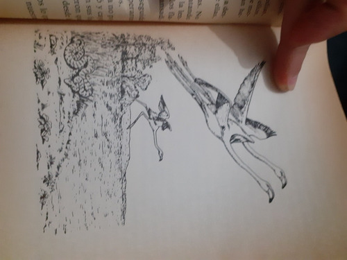 Cuentos De La Selva Horacio Quiroga