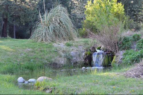 Imagen 5 de 30 de Terreno Plano En Esquina B° El Pegual Club De Campo - San Martin De Los Andes