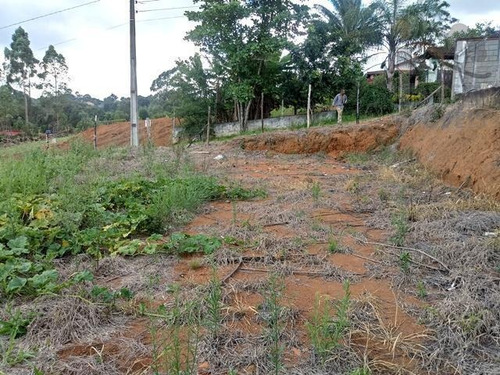 Imagem 4 de 4 de Cód 3369 - Ótimo Terreno 900 M² Plano, Já Limpo - 3369
