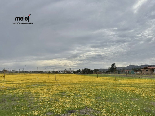 Venta Terreno En Los Laureles, Limache