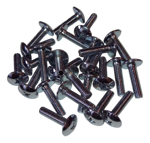 Tornillos Cromados Philips 6x25mm + Arandelas R 10 Unidades