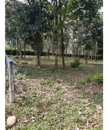 Vendo Lotes En Restrepo Meta De 2200 M2