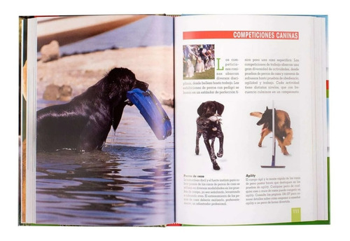 Imagen 3 de 4 de Libro Adiestramiento Canino, La Mente, Ordenes, Juego, Etc