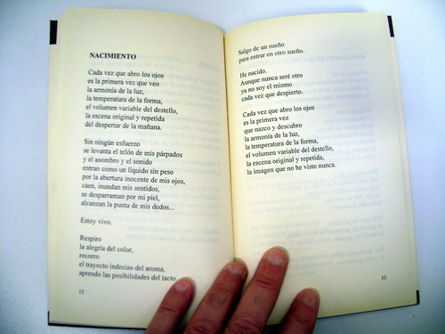 La Ventana Lorenzo Facorro Poesia Vinciguerra Usado Ok Boedo (Usado)